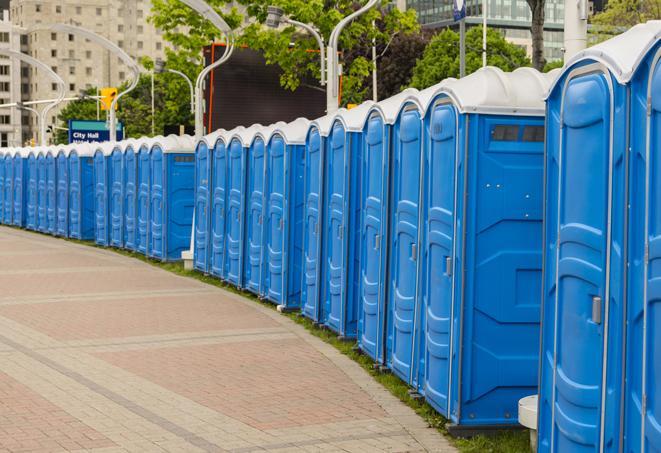 Seasonal porta potty units set up at a Brooklyn, New York venue